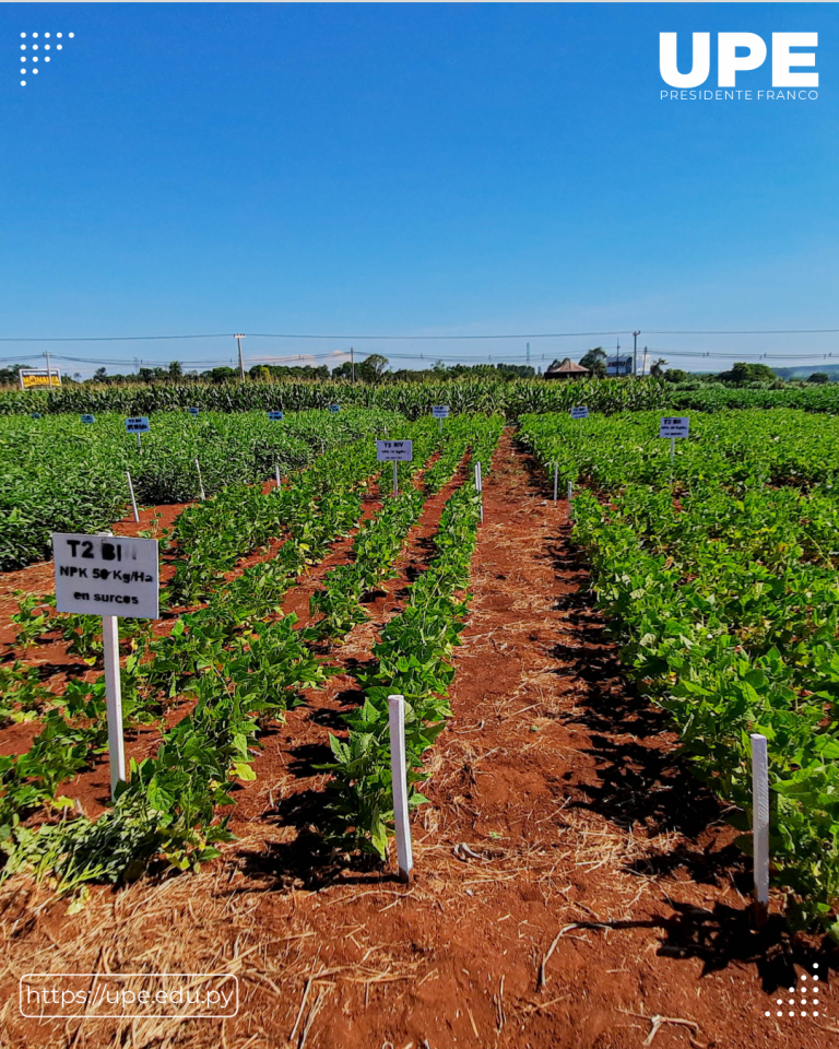 Broche de Oro con las Exposiciones de Campo de los Alumnos de Agronomía: Clausura en el Campo Experimental